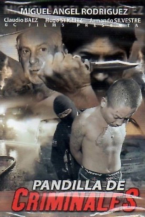 Movie poster for Pandilla de criminales (1992)