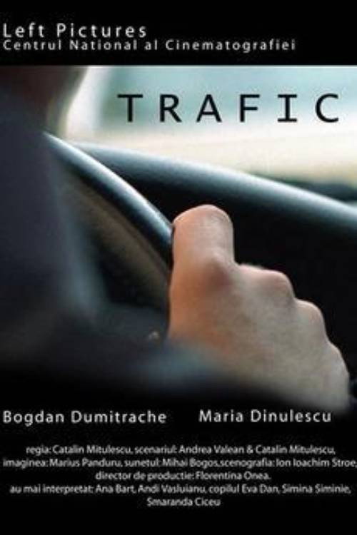 Movie poster for Trafic (2004)