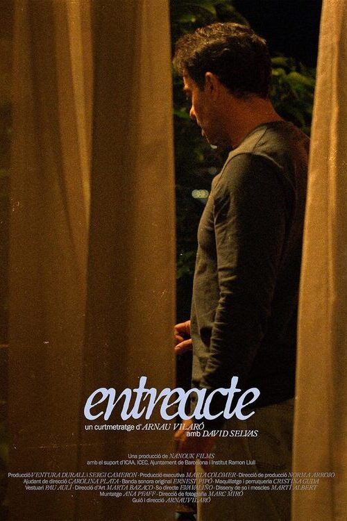 Movie poster for Intermission (2024)