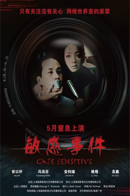 Movie poster for Case Sensitive (2011)