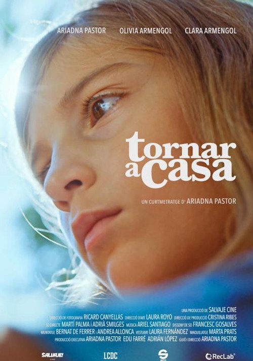 Movie poster for Tornar a casa (2022)