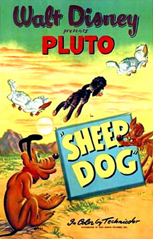 Movie poster for Sheep Dog (1949)