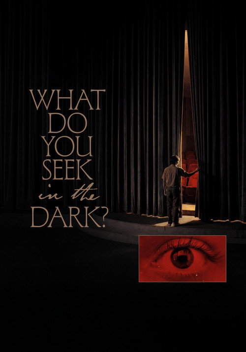 Movie poster for What Do You Seek in the Dark? (2026)