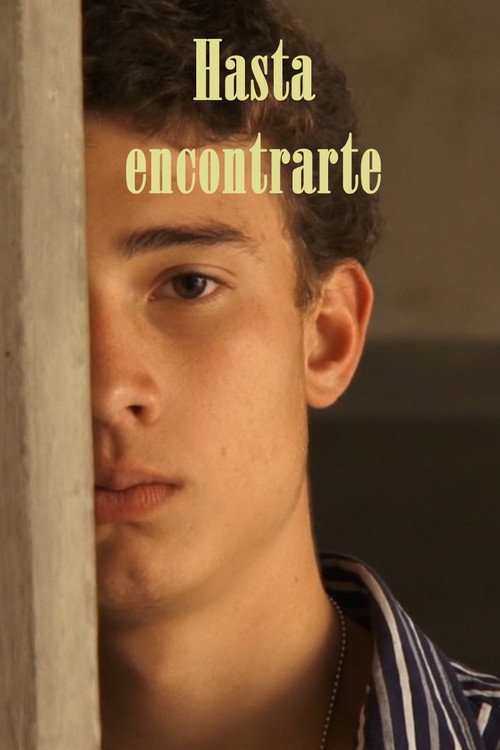 Movie poster for Hasta encontrarte (2013)