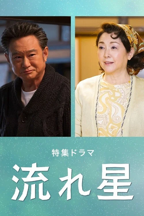 Movie poster for Nagareboshi (2021)