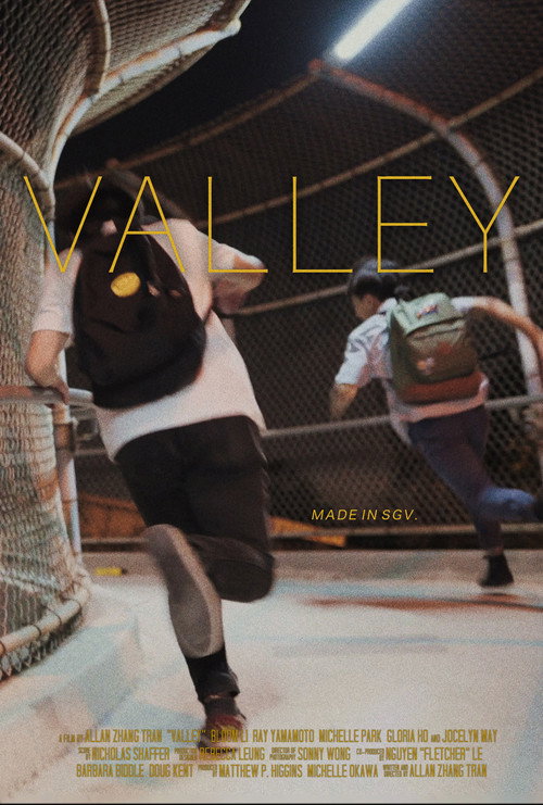 Movie poster for Valley (2020)