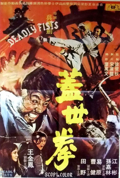 Movie poster for Revenge of the Iron-Fist Maiden (1973)