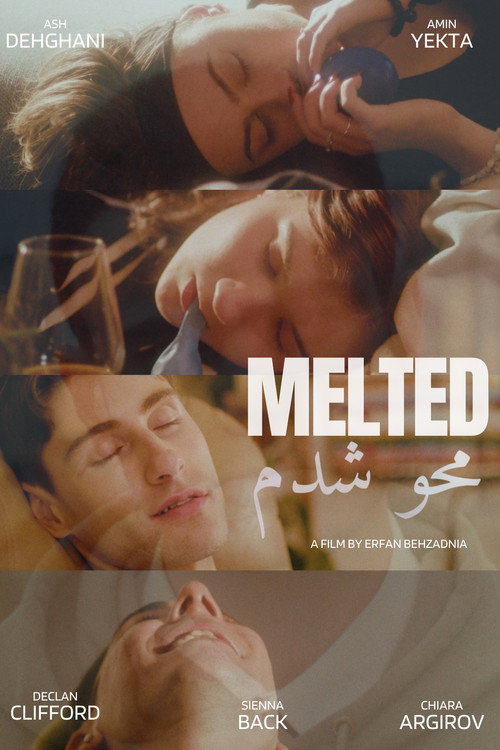 Movie poster for Melted