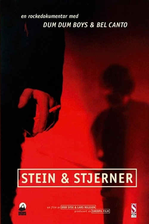 Movie poster for Stein & stjerner (1994)