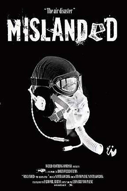 Movie poster for Mislanded: The Air Disaster (2006)