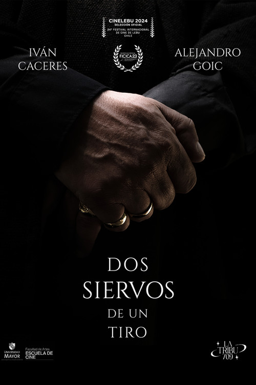 Movie poster for TWO SERVANTS. ONE STONE (2023)