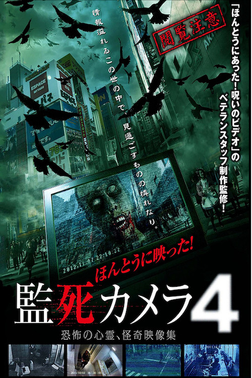 Movie poster for Paranormal Surveillance Camera 4 (2013)