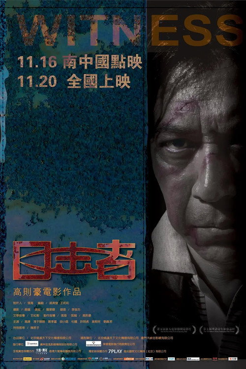 Movie poster for Witness (2012)