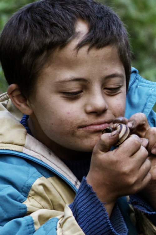 Photo of Temel Kara, Acting