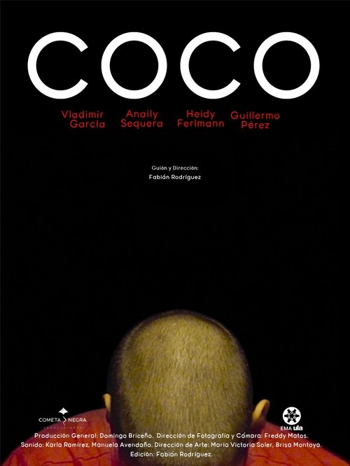 Movie poster for COCO (2018)