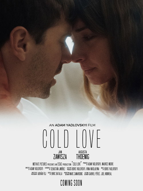 Movie poster for Cold Love (2024)