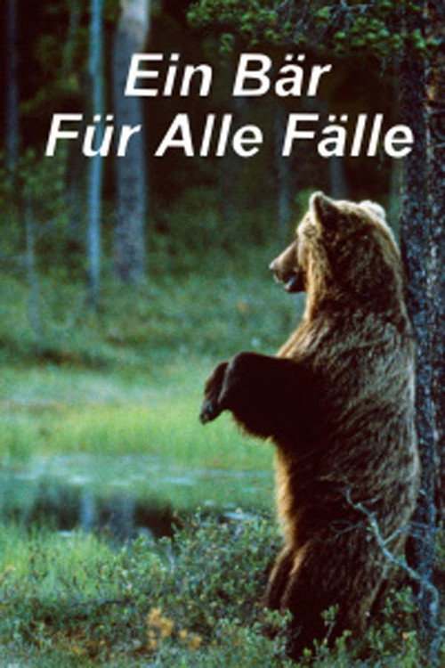 Movie poster for Ein Bär für alle Fälle (1998)
