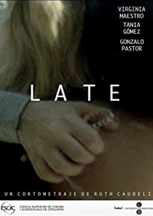 Movie poster for Late (2010)