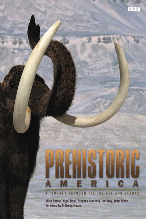 Wild New World poster