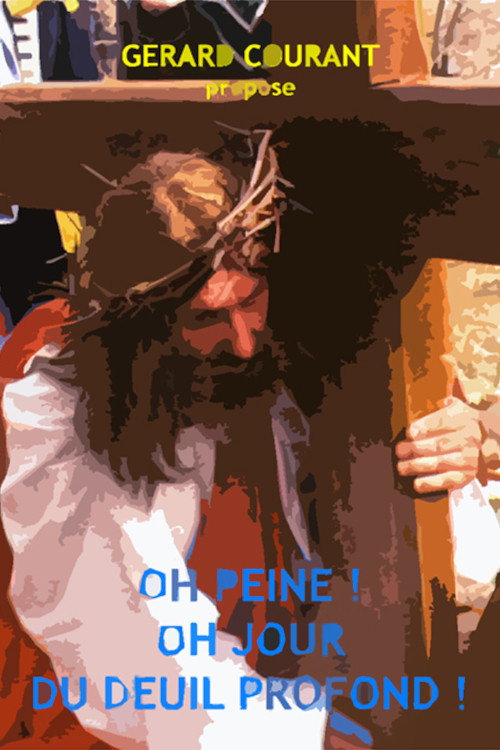 Movie poster for Oh peine ! Oh jour du deuil profond ! (2013)