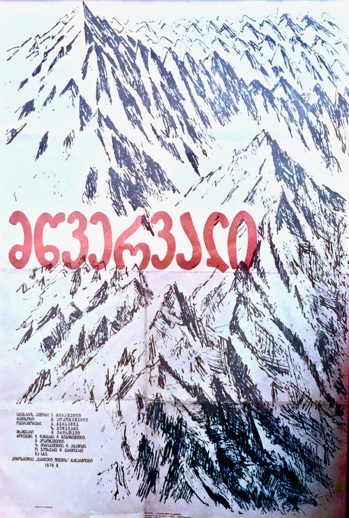 Movie poster for The Summit (1976)