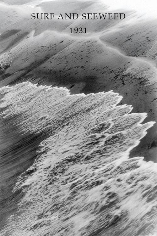Movie poster for Surf and Seaweed (1931)