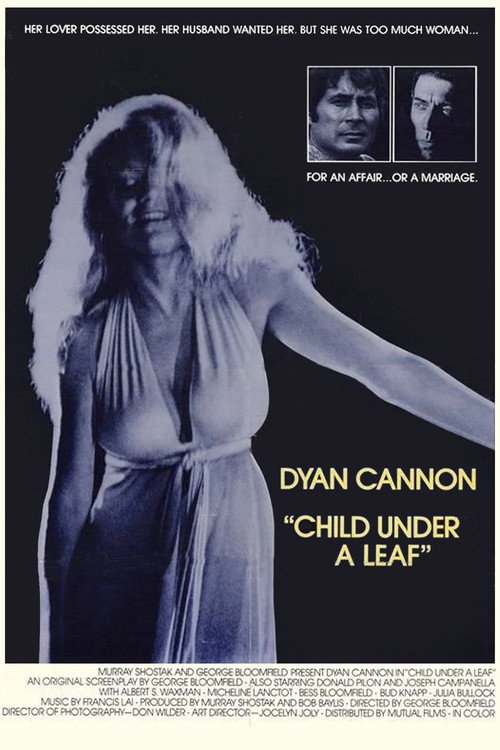 Movie poster for Child Under a Leaf (1974)