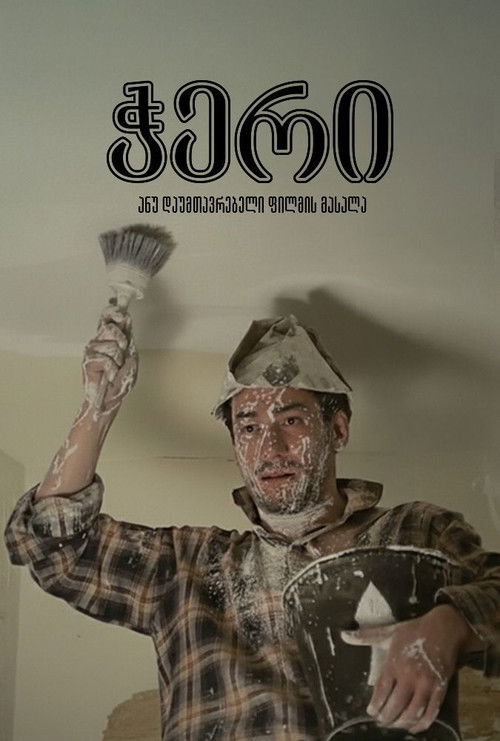 Ceiling or Unfinished Film Material poster