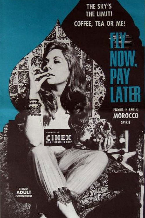 Movie poster for Fly Now Pay Later (1969)