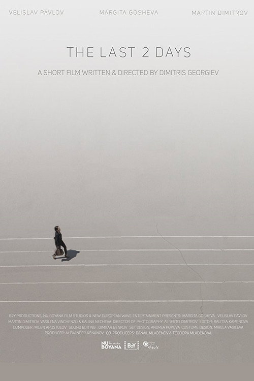 Movie poster for The Last 2 Days (2018)