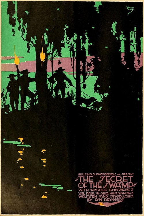 Movie poster for The Secret of the Swamp (1916)