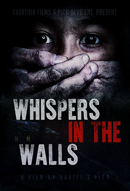 Movie poster for Whispers in the Walls