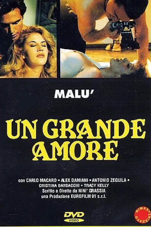 Movie poster for A Great Love (1995)