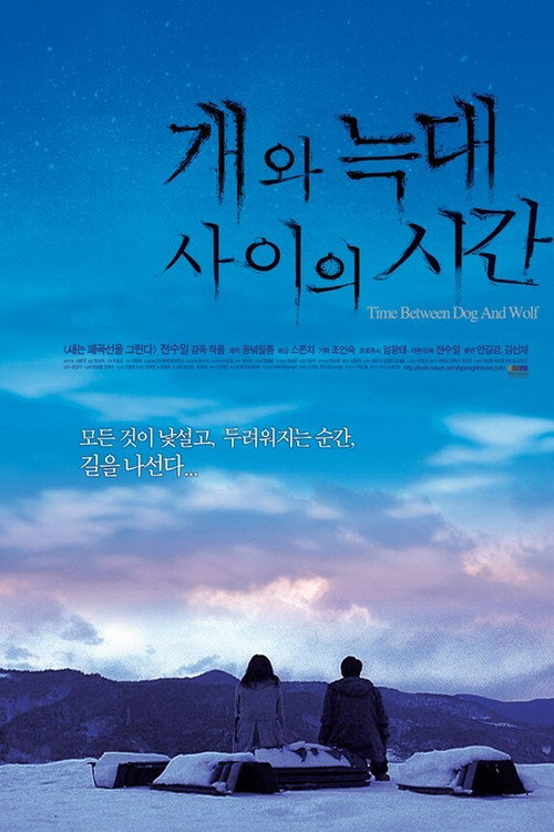 Movie poster for Time Between Dog and Wolf (2007)