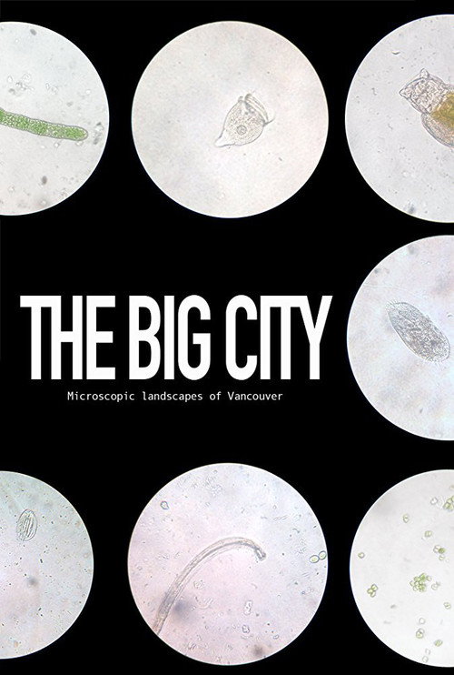 Movie poster for The Big City (2017)