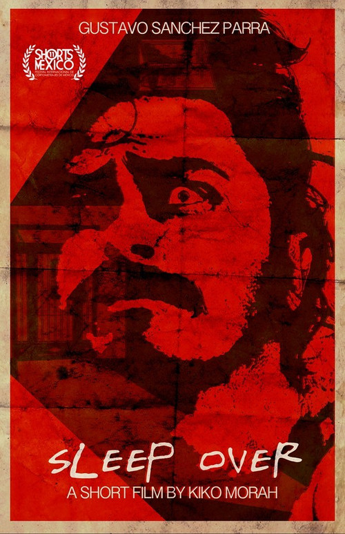 Movie poster for Sleep Over (2015)