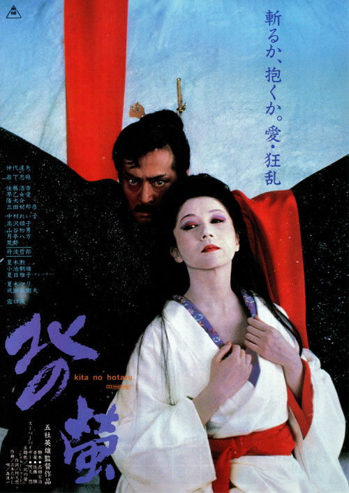 Movie poster for Fireflies in the North (1984)