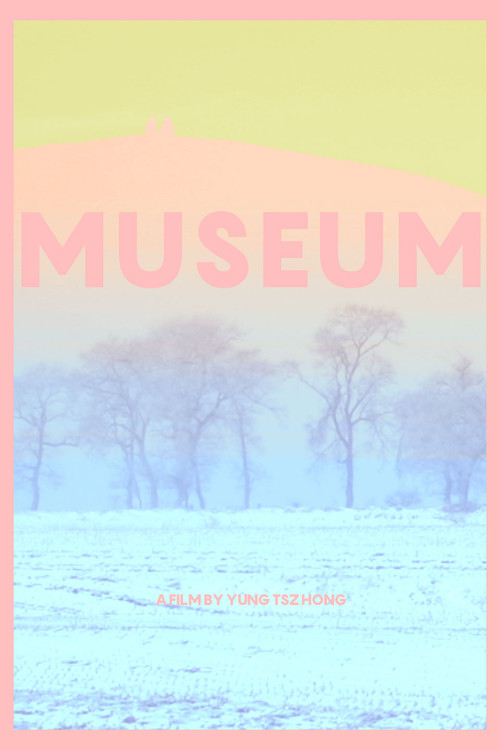 Movie poster for Museum (2018)