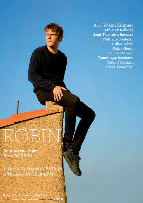 Movie poster for Robin (2017)