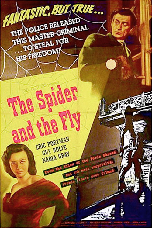 Movie poster for The Spider and the Fly (1949)