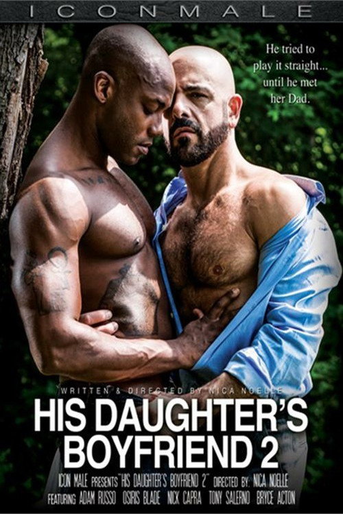 Movie poster for His Daughter's Boyfriend 2 (2015)