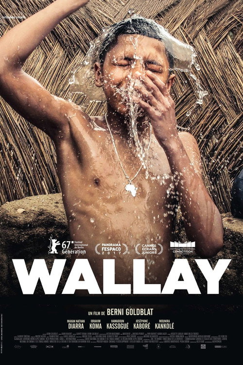 Movie poster for Wallay (2017)