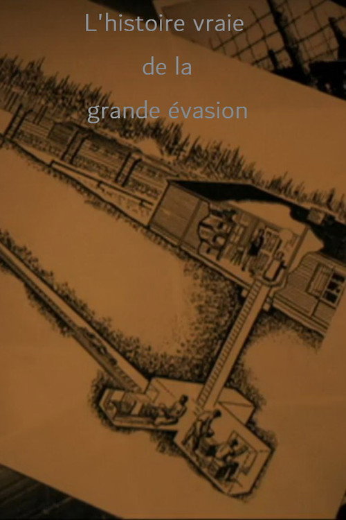 Movie poster for The Great Escape: The Reckoning (2009)