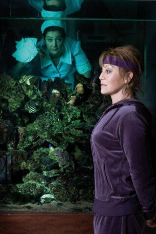 Movie poster for The Turkey (2008)