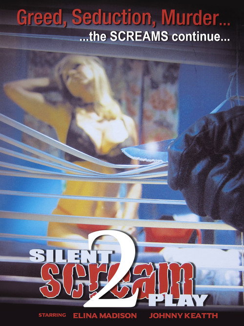 Movie poster for Silent Screamplay II (2006)
