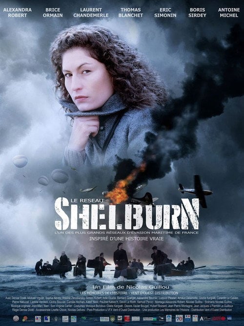 Movie poster for The Shelburn Network (2020)