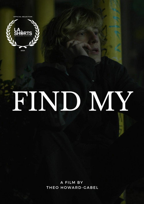Movie poster for Find My