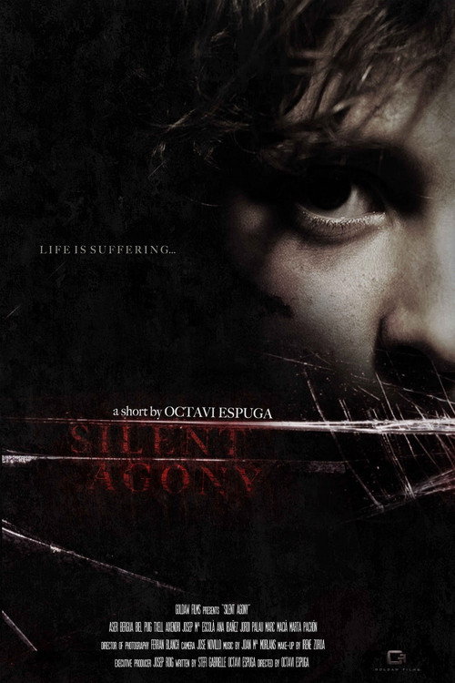 Movie poster for Silent Agony (2011)