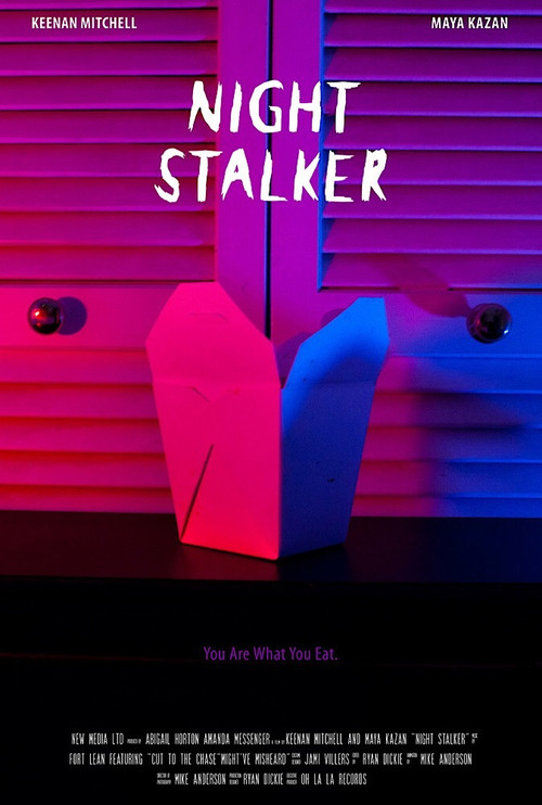 Movie poster for Night Stalker (2016)