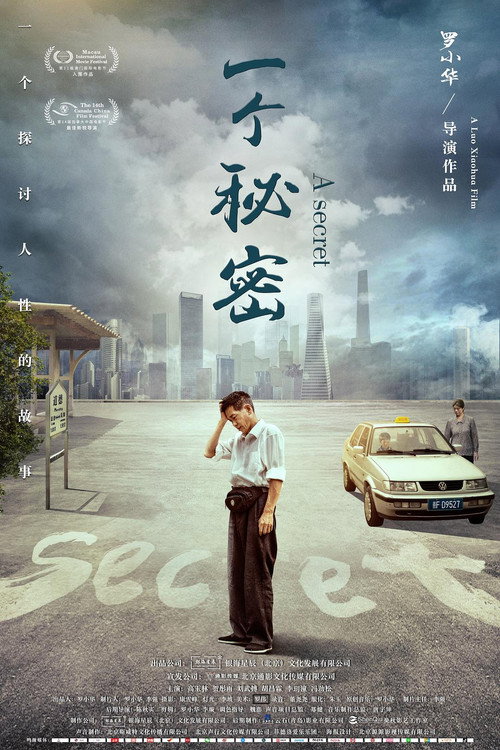 Movie poster for A Secret (2019)